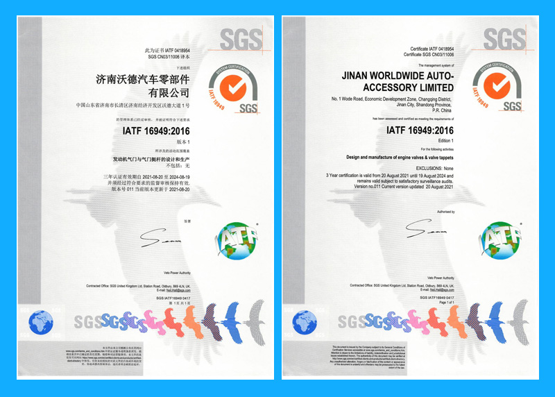 SGS 證書